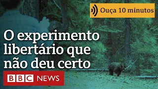 O experimento libertário que terminou em fracasso nos EUA