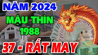 Tử Vi Năm 2024 Tuổi Mậu Thìn 1988, 37 Tuổi ĐỔI ĐỜI Đại Gia Tiền Về Ầm Ầm Như Thác Lũ