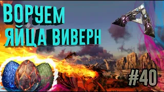 ВОРУЕМ ЯЙЦА ВИВЕРН НА ЛОЛ ВИВЕРНЕ ▶ARK Survival Evolved◀#40