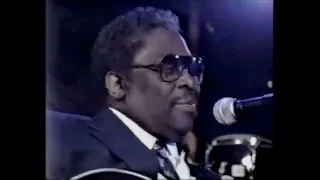 B.B. King - Why I Sing The Blues (live 1990)