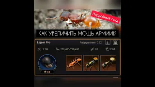 ПОВЫШАЕМ МОЩЬ АРМИИ! 5 простых советов. The Ants: Underground Kingdom