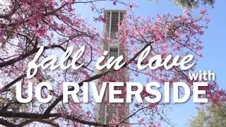 10 Reasons to Fall in Love with UCR