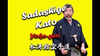 Sadashige Kato (9 Dan IJKA) Yoko-geri