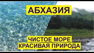 Абхазия чистое море + дорога на Гегский водопад и Альпийские луга