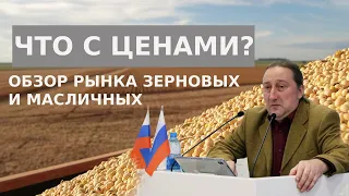 Обзор рынка зерновых и масличных от Владимира Жилина 22.12.2023