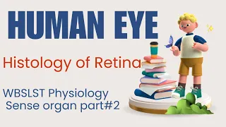 Histology of Retina// Structure & Functions Of Human Eye/ Working