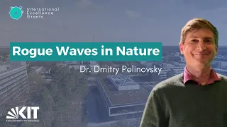 Rogue Waves in Nature and Integrable Models