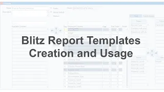 Blitz Report Templates -   Creation and Usage