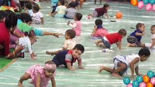 Funny Baby Crawling Competition