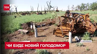 🤬 Ракетні удари Росії мають на меті спровокувати штучний голод