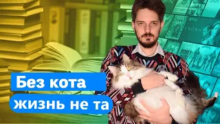 CATS.NEWS: МиуТок / специалист по котикам / кот-обормот / Каца кот / а у вас есть кот? // Максим Кац