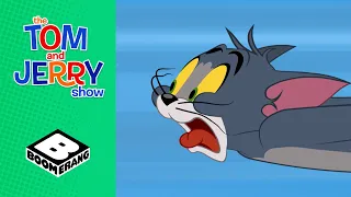 Tom & Jerry | Field Trip | Boomerang UK