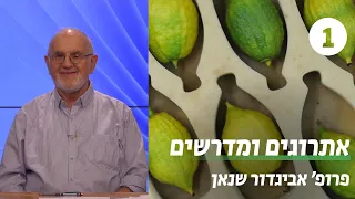 אתרוגים ומדרשים | שיעור 1 - האתרוג יש בו טעם | פרופ' אביגדור שנאן