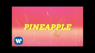Ty Dolla $ign - Pineapple feat. Gucci Mane & Quavo [Lyric Video]