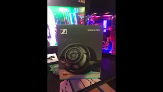 Sennheiser HD800S Gaming Review (2021)