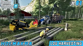 First steps to forestry, start production of boards | Forestry in Holmakra | FS 22 | Timelapse #01