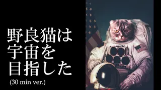 [30 min BGM] The stray cat aimed for space / Sharou [Official]