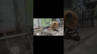 Police Officer Disguised As Teddy Bear To Capture Drug Dealer: Lima Peru