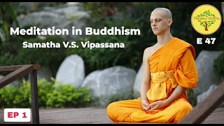 Meditation in Buddhism (EP 1)| Explore the concept of Samatha v.s Vipassana