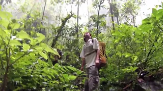 First Expeditions to Son Doong - The World's Largest Cave