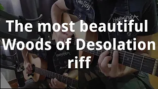 The most beautiful Woods of Desolation riff | acoustic guitar cover