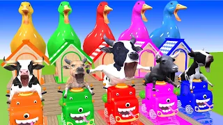 5 Giant Duck, Monkey, Piglet, chicken, dog, dinosaur, kangaroo, Transfiguration funny animal 2023