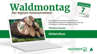 20210308_Waldmontag_Wildeinfluss