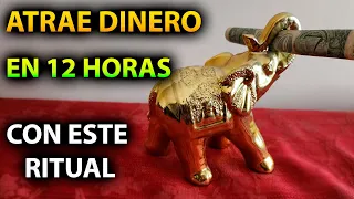 ¡Atrae DINERO en 12 HORAS! 💰🕒 Con ESTE RITUAL de ABUNDANCIA