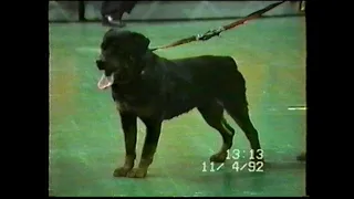 Выставка собак "Ротвейлер России" 11.04.1992 Лужники