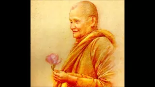 Chỉ Là Một Cội Cây - Thiền Sư Ajahn Chah