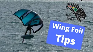 Learning to Wing Foil- Ke'ehi lagoon, tips for beginners
