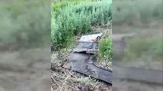 Ukrainian paratroopers blowing off a Russian BMP 1AM IFV   the result can be seen in the video