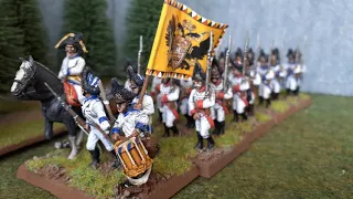 Napoleonic Basics  Austrian Infantry, line and grenadiers