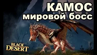 🐉Камос - мировой босс: Фарм, Дроп, знание в Black Desert (MMORPG - ИГРЫ)