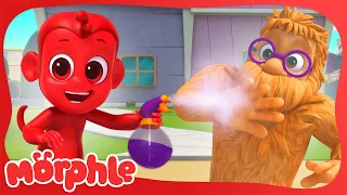 Morphle's a Cheeky Monkey! 🐒 | Stories for Kids | Morphle Kids Cartoons
