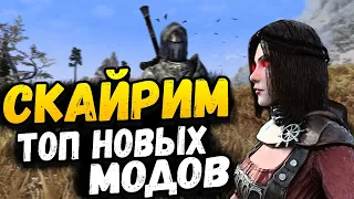 ТОП 10 НОВЫХ МОДОВ ДЛЯ SKYRIM