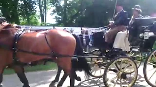 Klassieke koetsen parade en keuring - Valkenswaard