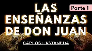 LAS ENSEÑANZAS DE DON JUAN | C. Castaneda | Parte 1 | Audiolibro completo en español | Voz humana