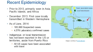 Chikungunya Virus [Hot Topic]