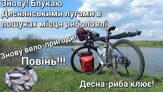 Велопригоди та рибалка на Десні !