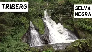 TRIBERG: Cascadas Selva Negra y Reloj de cuco más grande del mundo | Baden Wuttemberg 2# Alemania