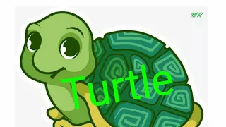 Удивительная черепаха