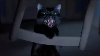 Cindy vs El Gato - Scary Movie 2 || Mejores escenas en Español