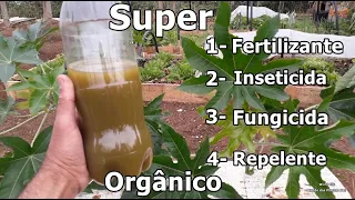 Super Fertilizante, Fungicida, Inseticida e Repelente feito com a Folha da Mamona