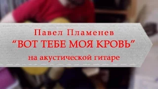 Павел Пламенев - Вот тебе моя кровь (на акустической гитаре)