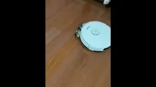Kitten gets run over by Roomba