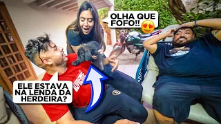 🙏🏼🚨 AAH RENATO DEIXA A GENTE FICAR COM O CACHORRINHO!! *por favor*