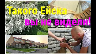 Живём на ЮГЕ/Такого ЕЙСКА вы не видели/Пирог из слоёного ТЕСТА!