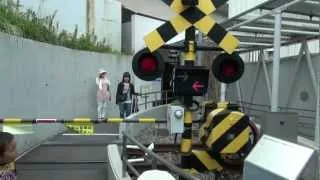 Playing in the railway crossing (Japanese Train)