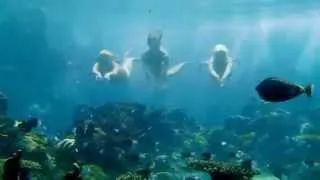 Mako Mermaids:Season 1 Opening